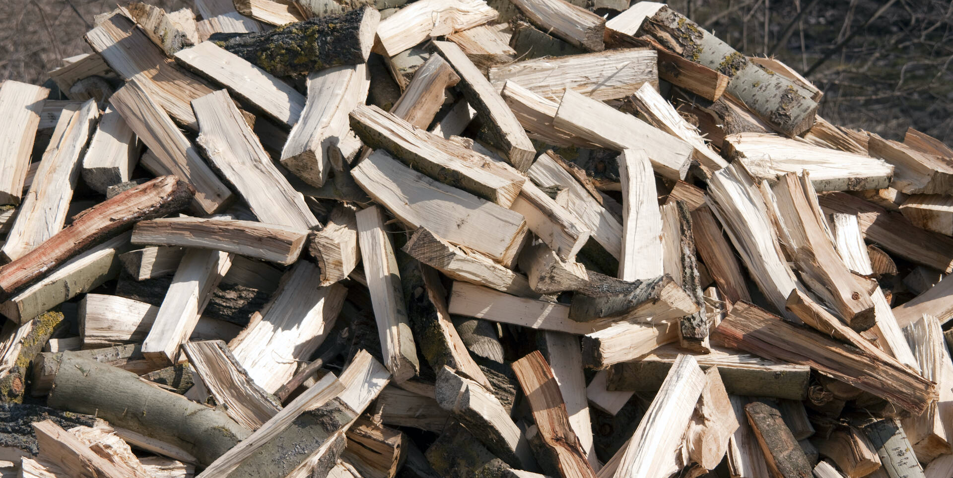 bois énergie biomasse