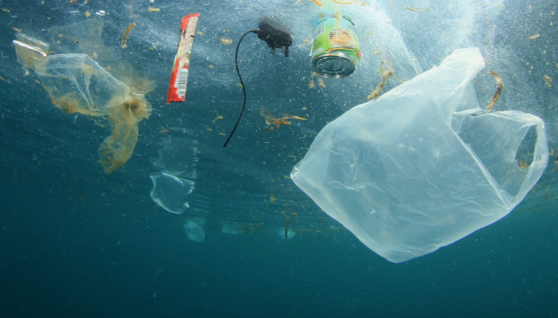 déchets marins océan mer pollution