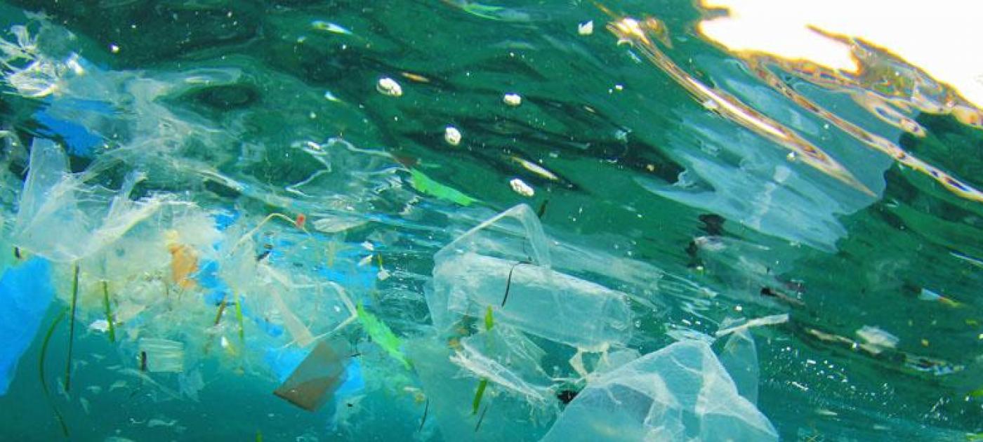 déchets plastique microplastique océan