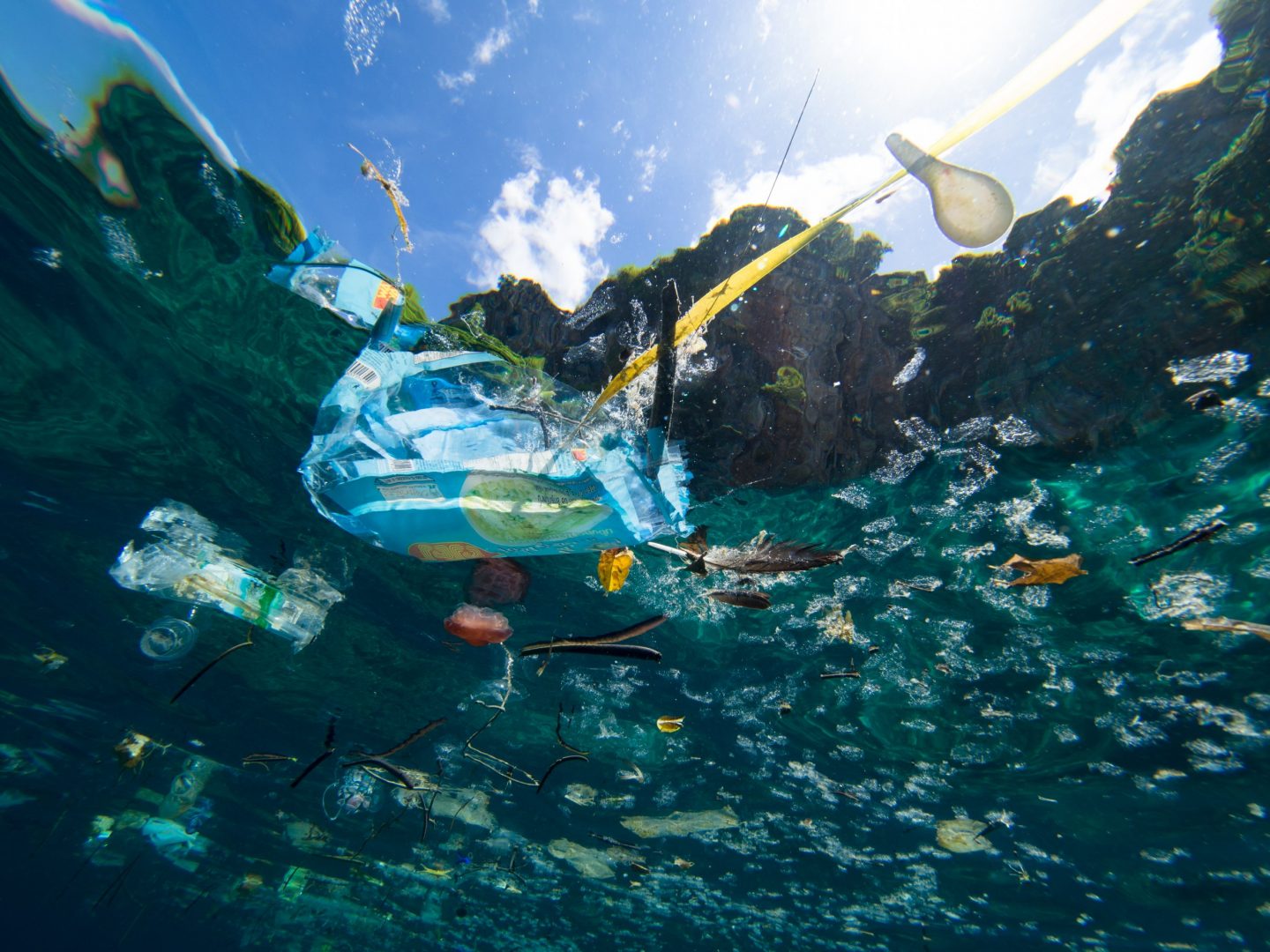 déchets aquatiques mer pollution