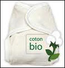 couche coton bio