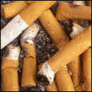 mégots de cigarettes 